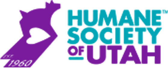 Logo for Revamped newsletter multiplies revenue and gifts